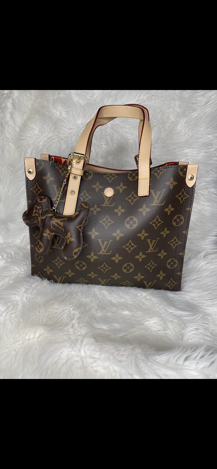 Lv doggie bag