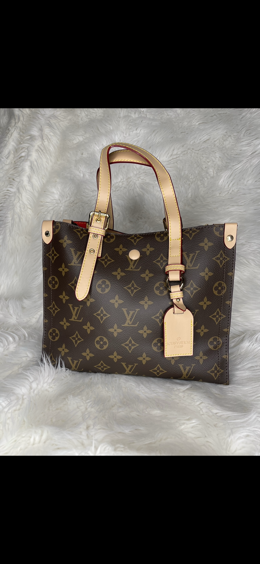 Lv doggie bag